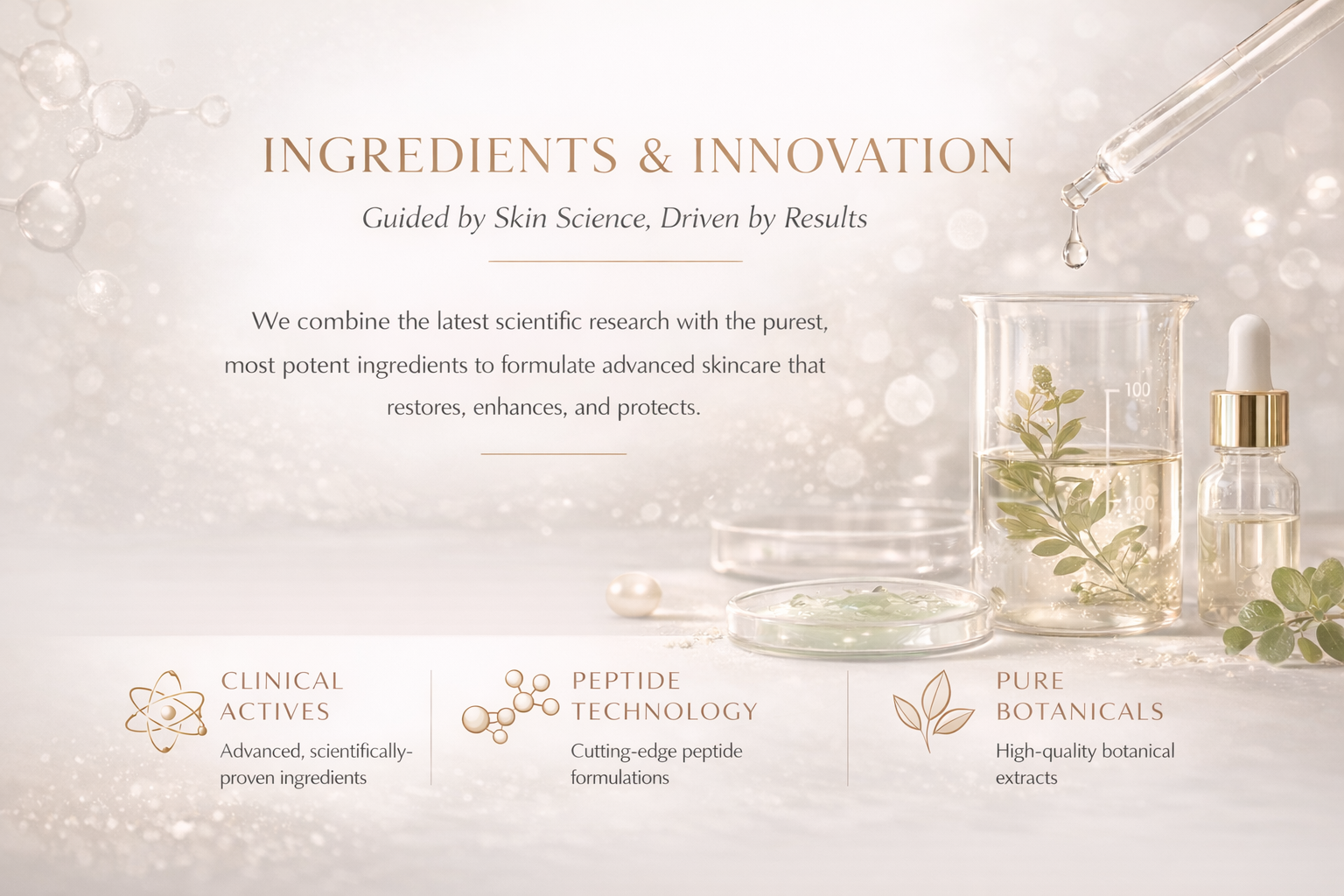 534DCE30-3B06-4333-8310-13422A1DE9C0