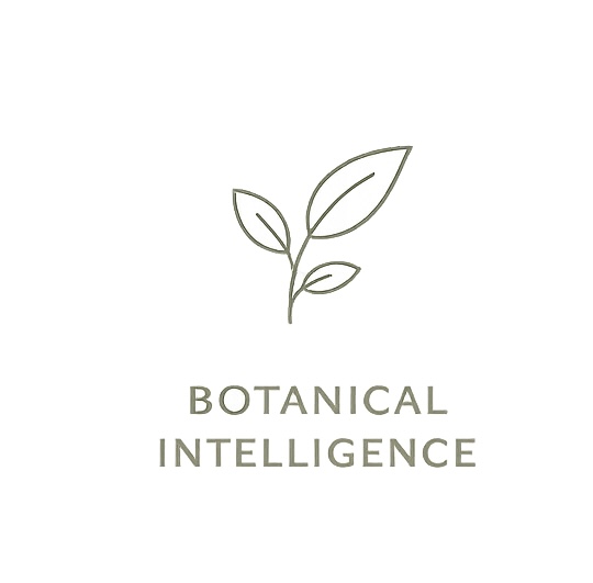 EC70BD51-844E-4995-9919-37B9ABCB79D4 2